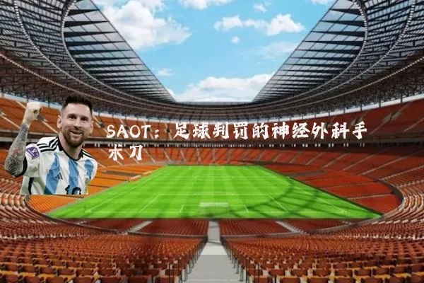 SAOT：足球判罚的神经外科手术刀